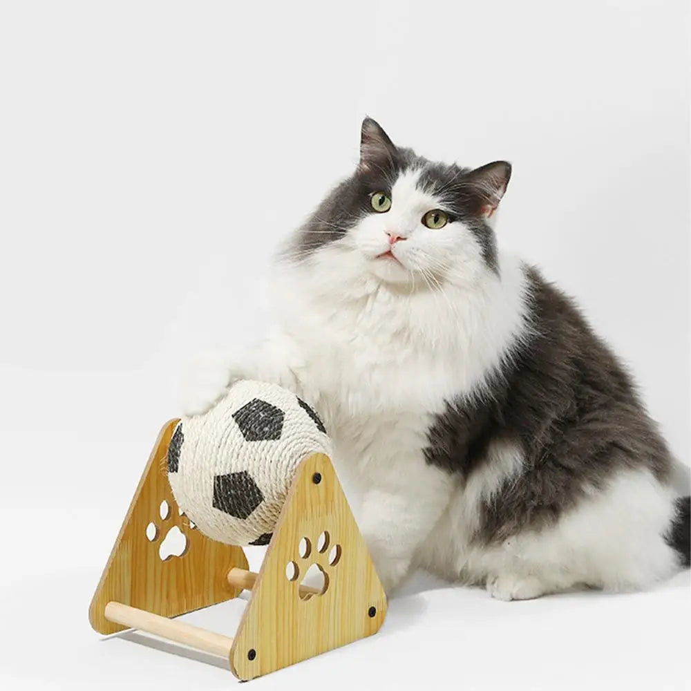 Cat Scratching Ball