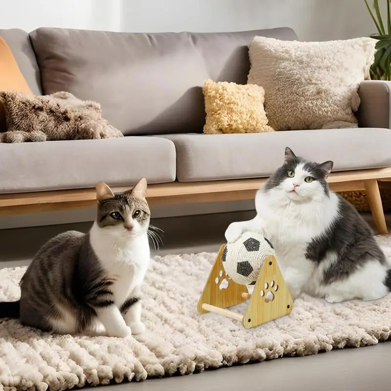 Cat Scratching Ball