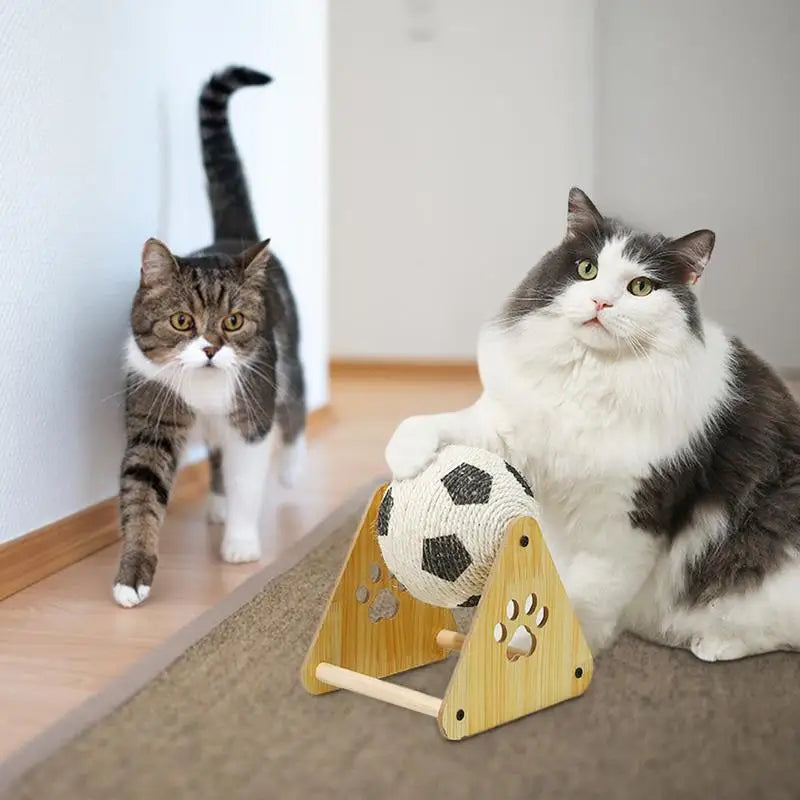 Cat Scratching Ball