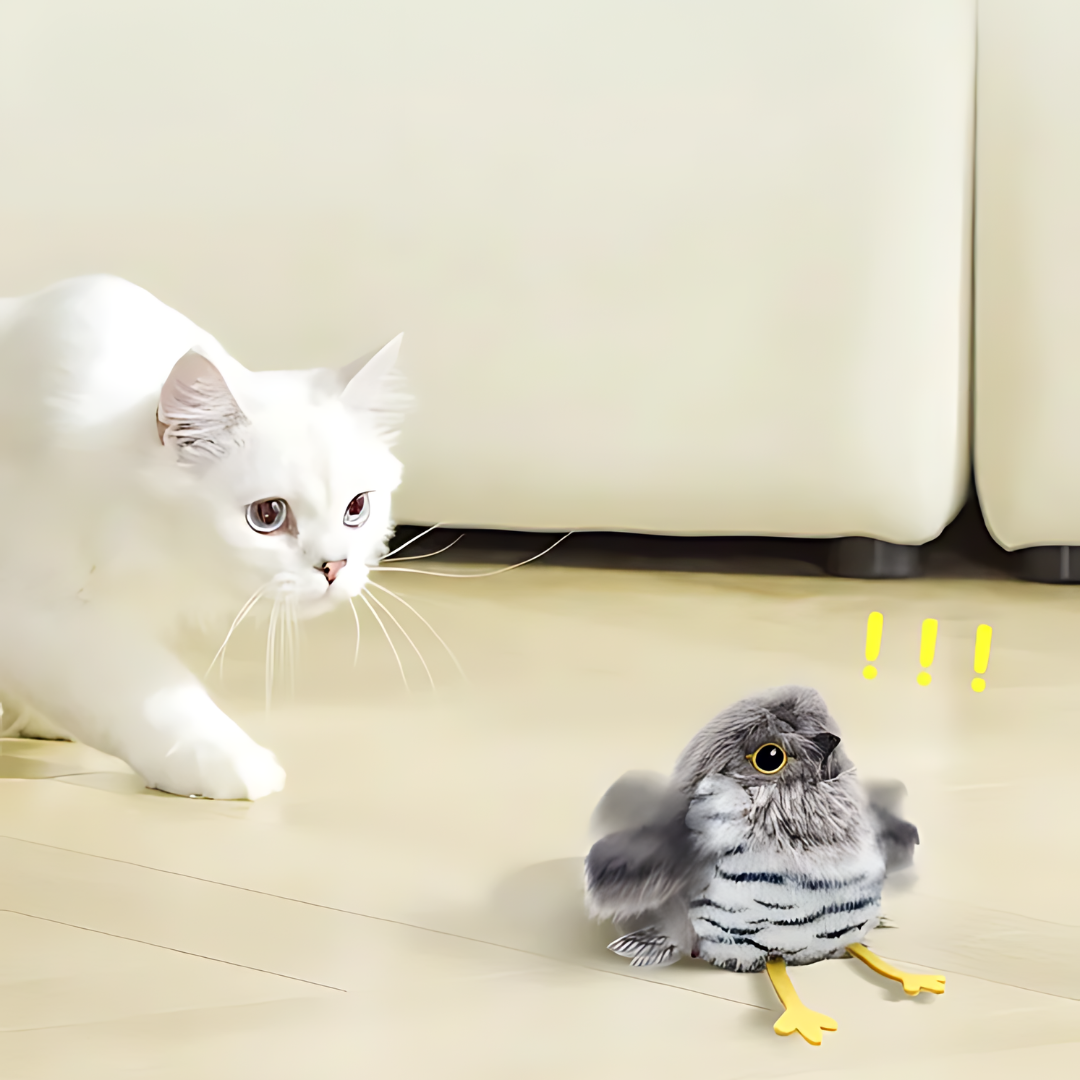Flapping Bird Cat Toy