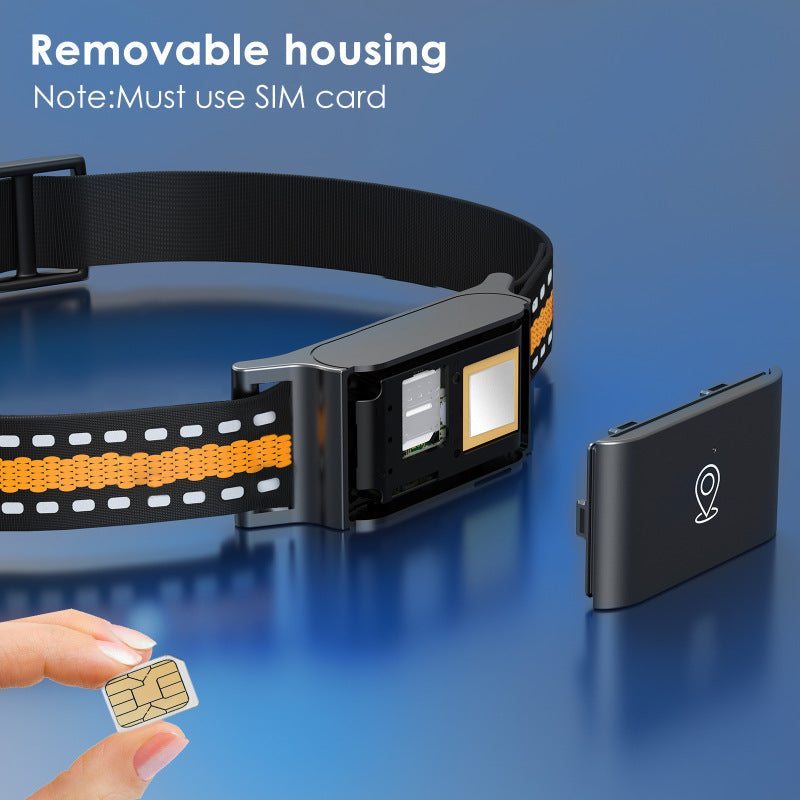Pet Collar Anti-Loss Device