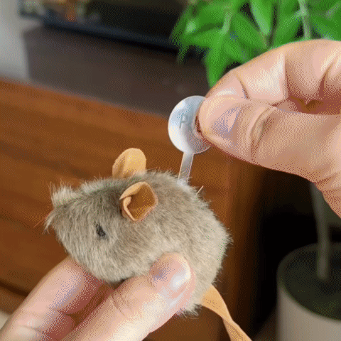 Cat Mouse Toy