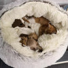 Soft Plush Pet Bed YourCatGoodies