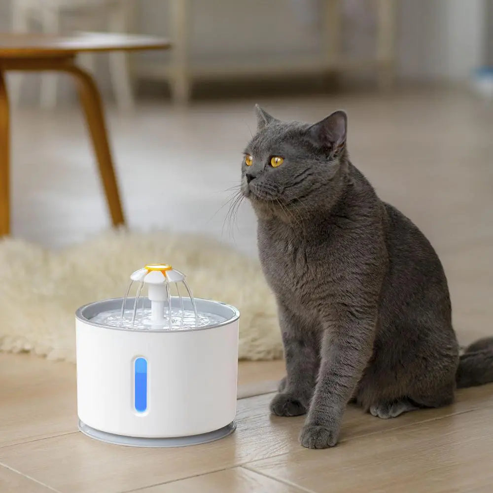 USB Powered Cat Water Fountain WigglyTailNeeds