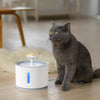 USB Powered Cat Water Fountain WigglyTailNeeds