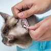Cat Multifunctional Washing Shower, Pet Nail Trimming Bag YourCatGoodies