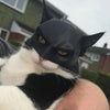 BatCat (Batman Mask For Cats) mutualdropshopping