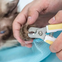 Cat Multifunctional Washing Shower, Pet Nail Trimming Bag YourCatGoodies