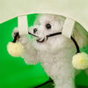 Cute Pet Sun Protection Tent YourCatGoodies