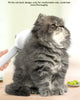 Self-Cleaning Cat Grooming Comb