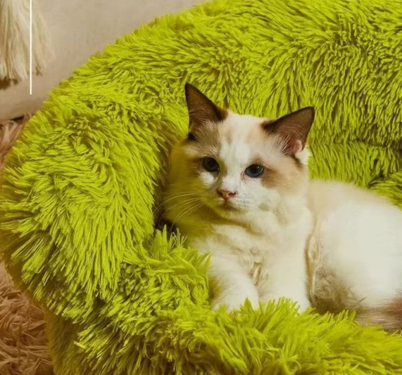 Sleeping Pet Monster Bed mutualdropshopping