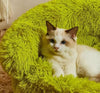 Sleeping Pet Monster Bed mutualdropshopping