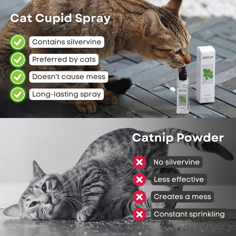 Catnip Cat Joy Spray YourCatGoodies