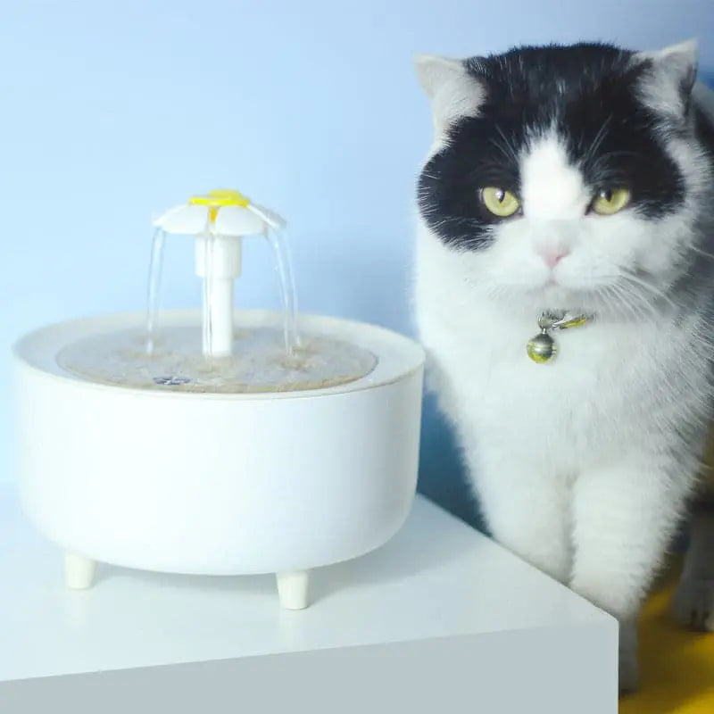 Intelligent Automatic Circulation Filter Pet Water Dispenser YourCatGoodies