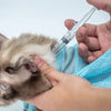 Cat Multifunctional Washing Shower, Pet Nail Trimming Bag YourCatGoodies