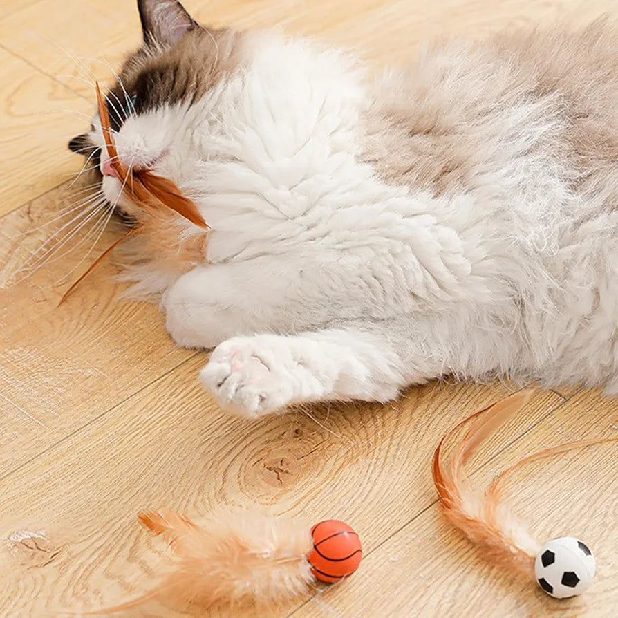 Bouncing Cat Ball with Feather YourCatGoodies