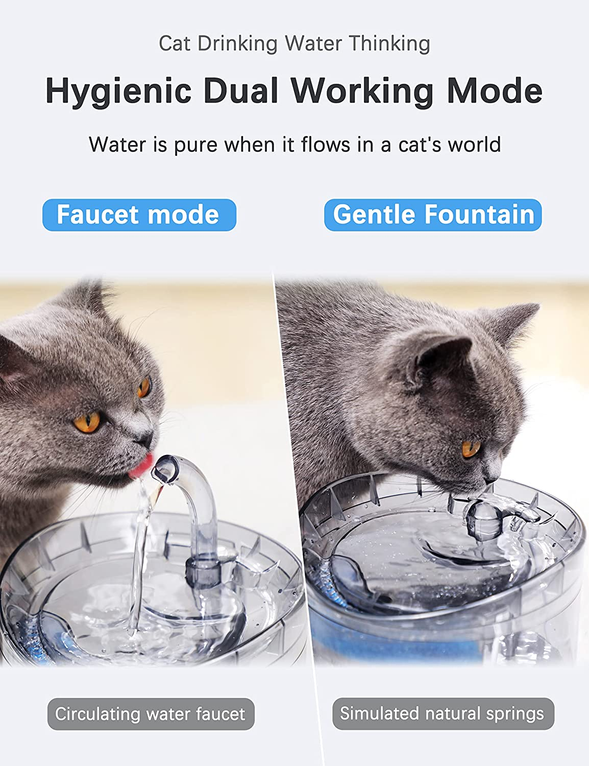 Smart Cat Water Fountain WigglyTailNeeds