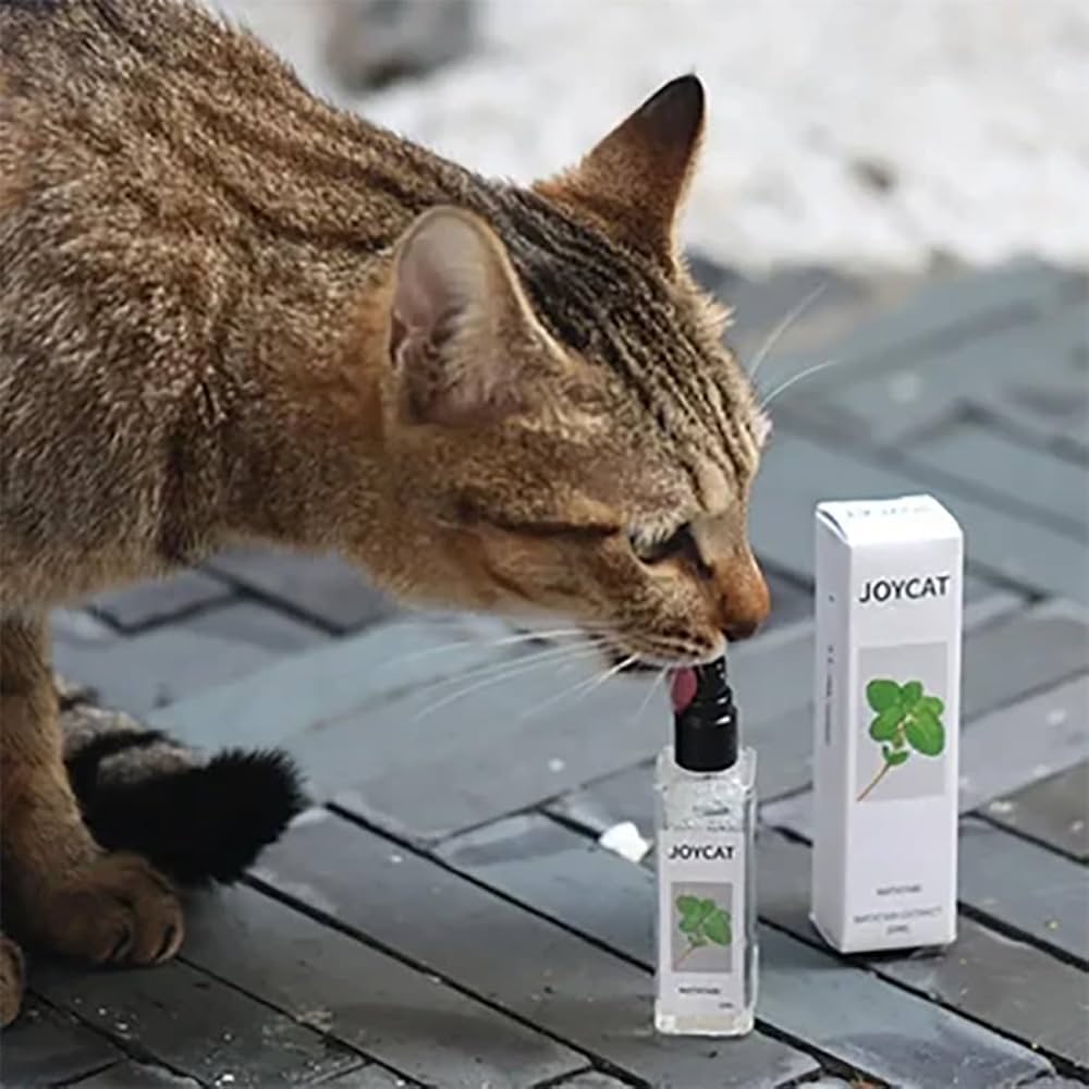 Catnip Cat Joy Spray YourCatGoodies