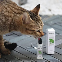 Catnip Cat Joy Spray YourCatGoodies