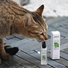 Catnip Cat Joy Spray YourCatGoodies