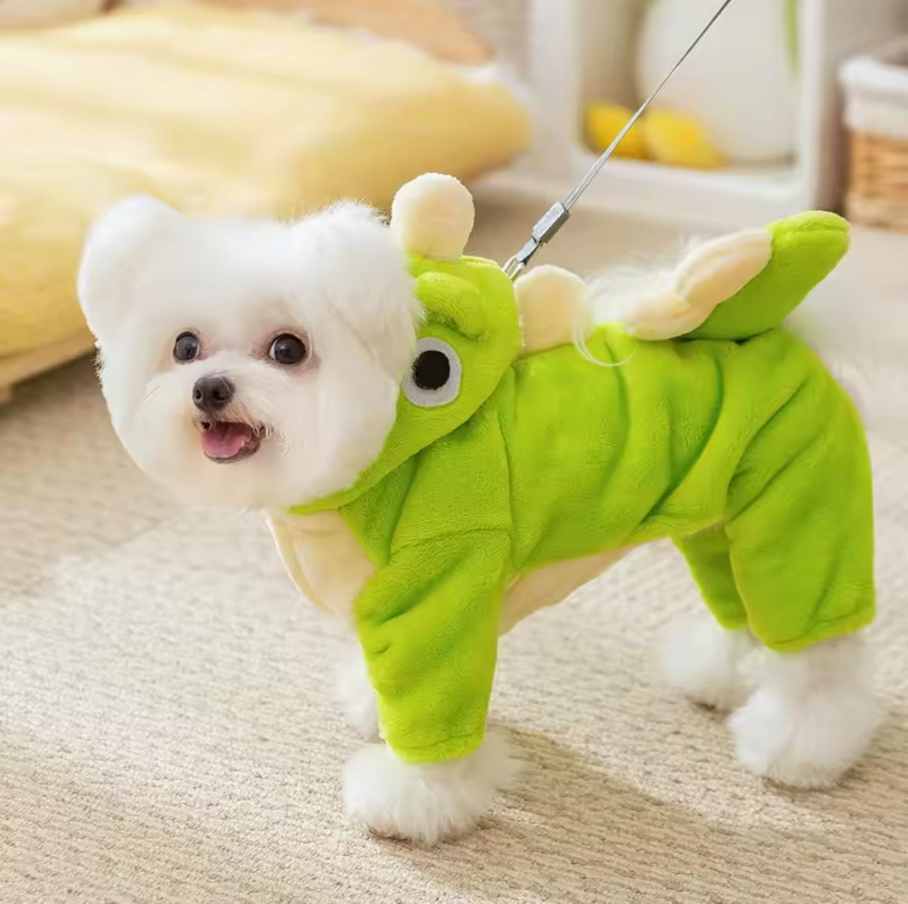 Pet Dinosaur Costume