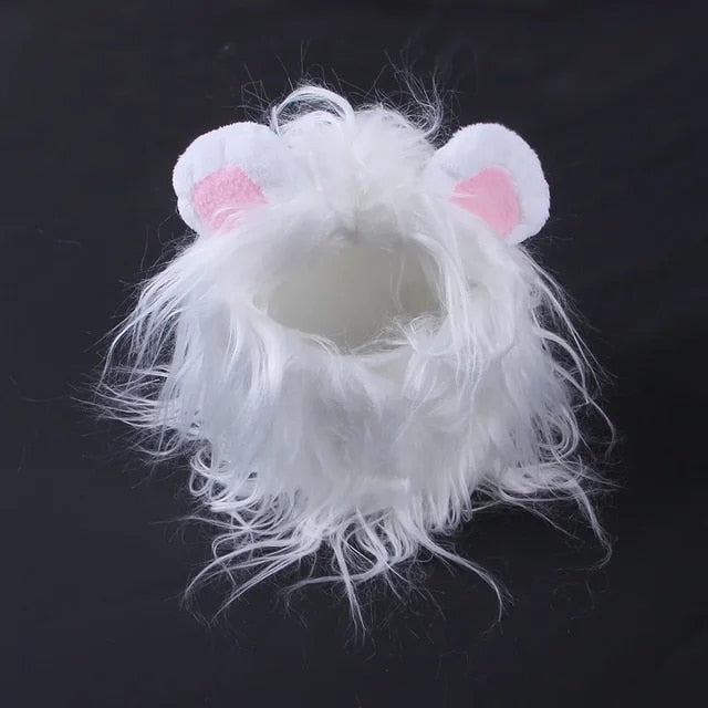 Cute Lion Cat Wig Costume WigglyTailNeeds