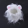 Cute Lion Cat Wig Costume WigglyTailNeeds