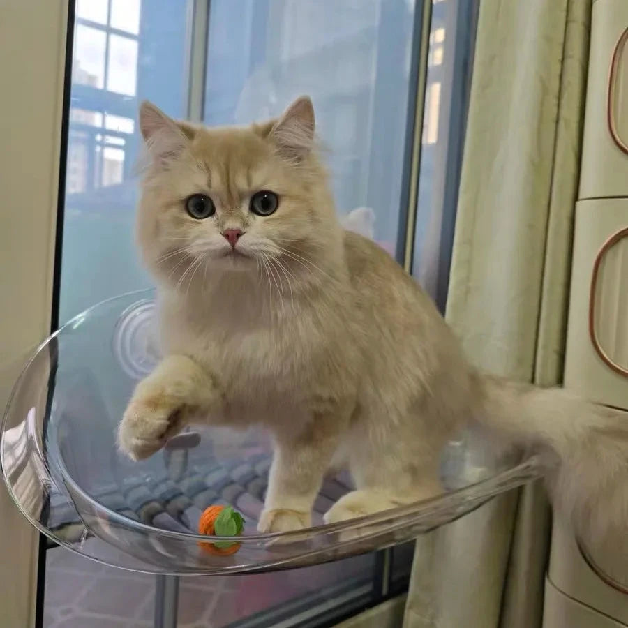 Cat Window Hanging Perch Bed YourCatGoodies