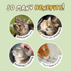 Catnip Cat Joy Spray YourCatGoodies