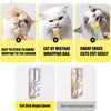 Cat Treats Spoon YourCatGoodies