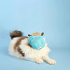 Anti bite cat mask YourCatGoodies
