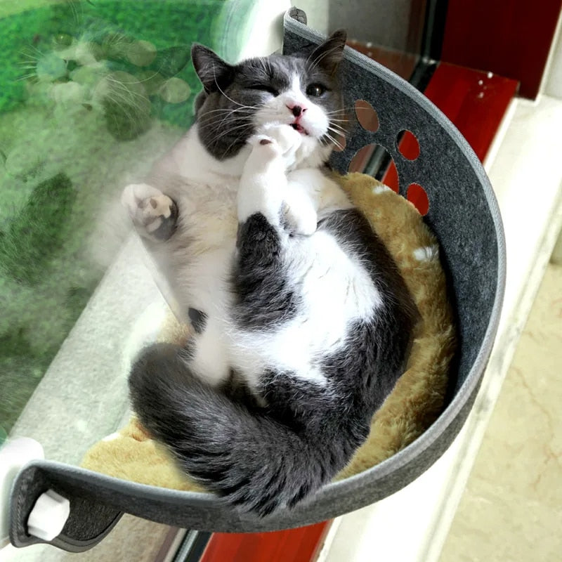 Cat Window Hammock WigglyTailNeeds