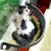 Cat Window Hammock WigglyTailNeeds