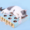 Interactive Cat Teaser Toy YourCatGoodies
