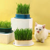 Fresh Sprout Seedling Tray Set YourCatGoodies