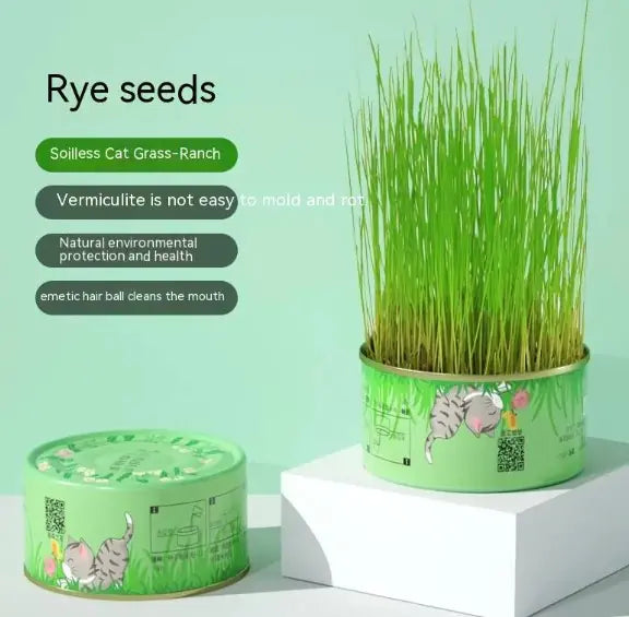 Cat Grass Cup YourCatGoodies