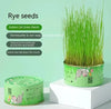 Cat Grass Cup YourCatGoodies