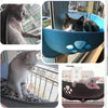 Cat Window Hammock WigglyTailNeeds