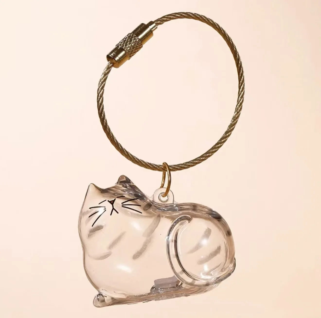 Transparent Cat Hair Storage Keychain