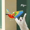Bungee Cat Toys YourCatGoodies