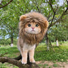 Cute Lion Cat Wig Costume WigglyTailNeeds