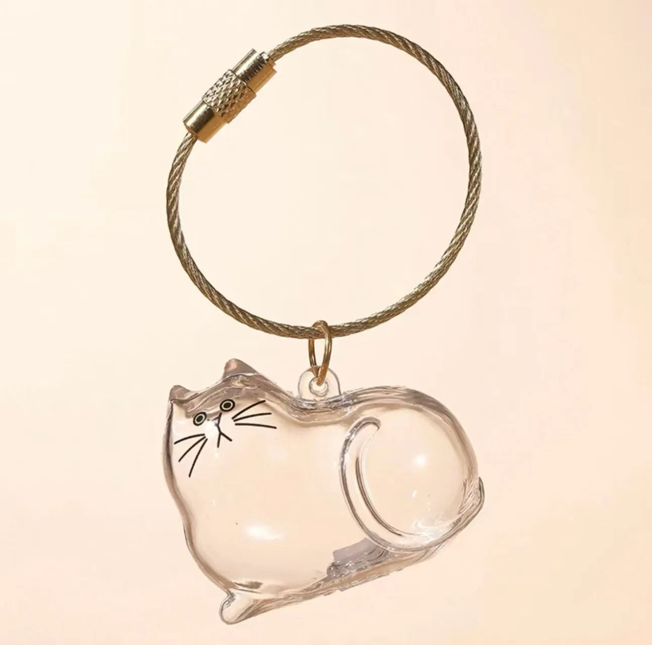 Transparent Cat Hair Storage Keychain