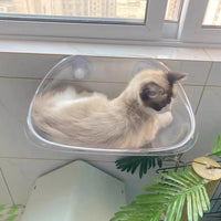 Cat Window Hanging Perch Bed YourCatGoodies