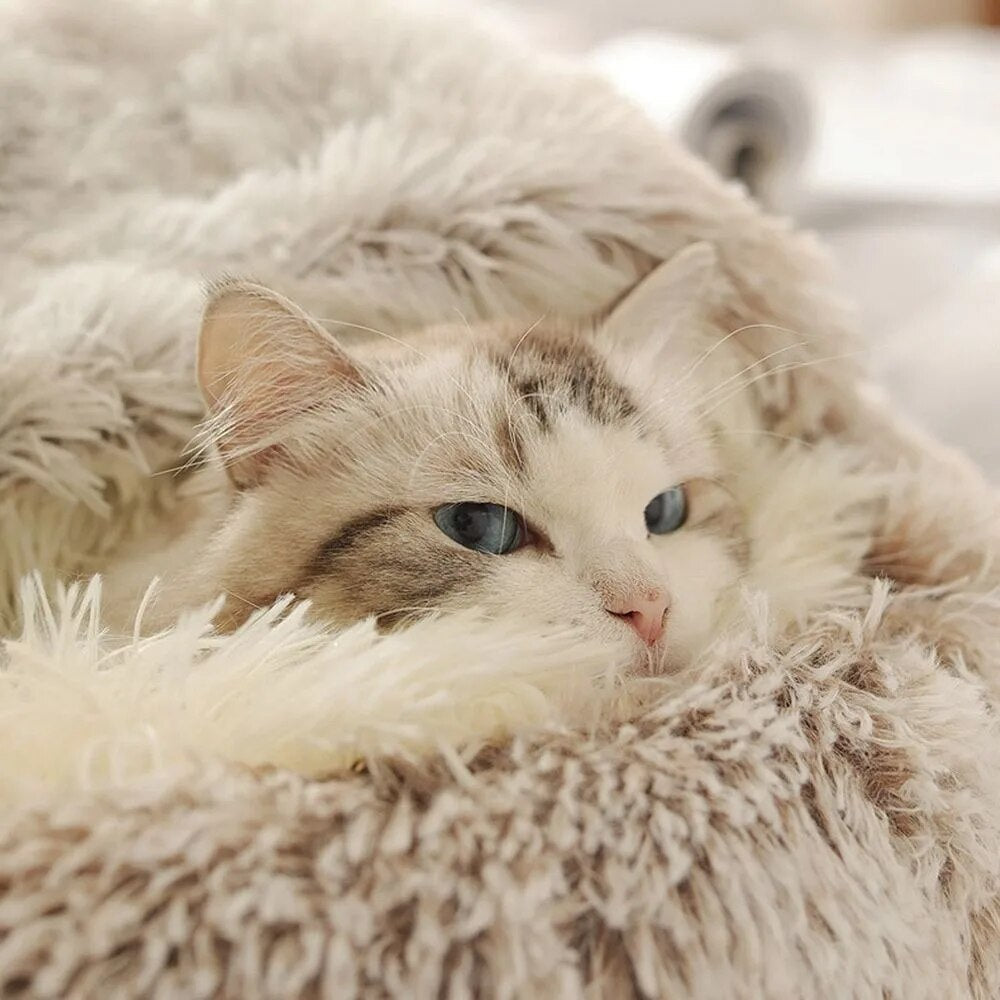 Soft Plush Pet Bed YourCatGoodies