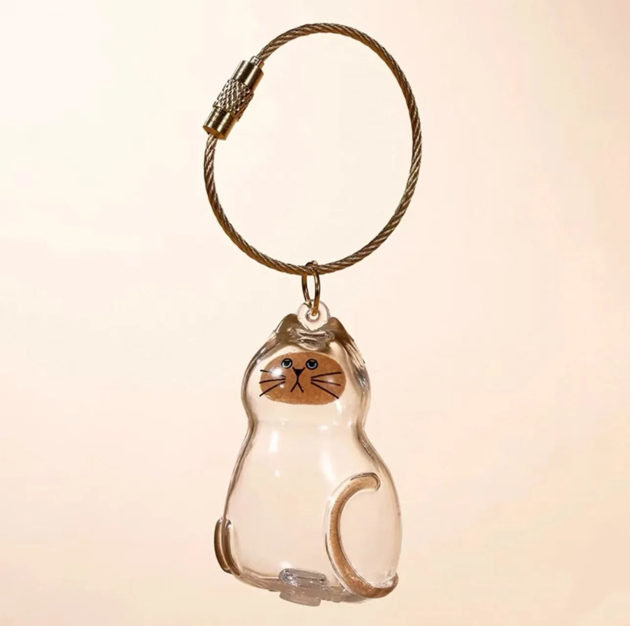 Transparent Cat Hair Storage Keychain