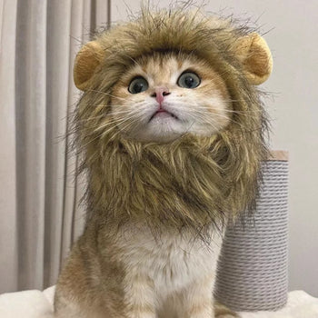 Cute Lion Cat Wig Costume WigglyTailNeeds