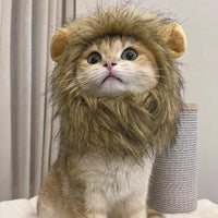Cute Lion Cat Wig Costume WigglyTailNeeds