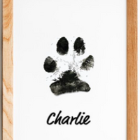 Paw Print Stamp YourCatGoodies