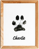 Paw Print Stamp YourCatGoodies