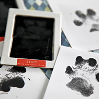 Paw Print Stamp YourCatGoodies